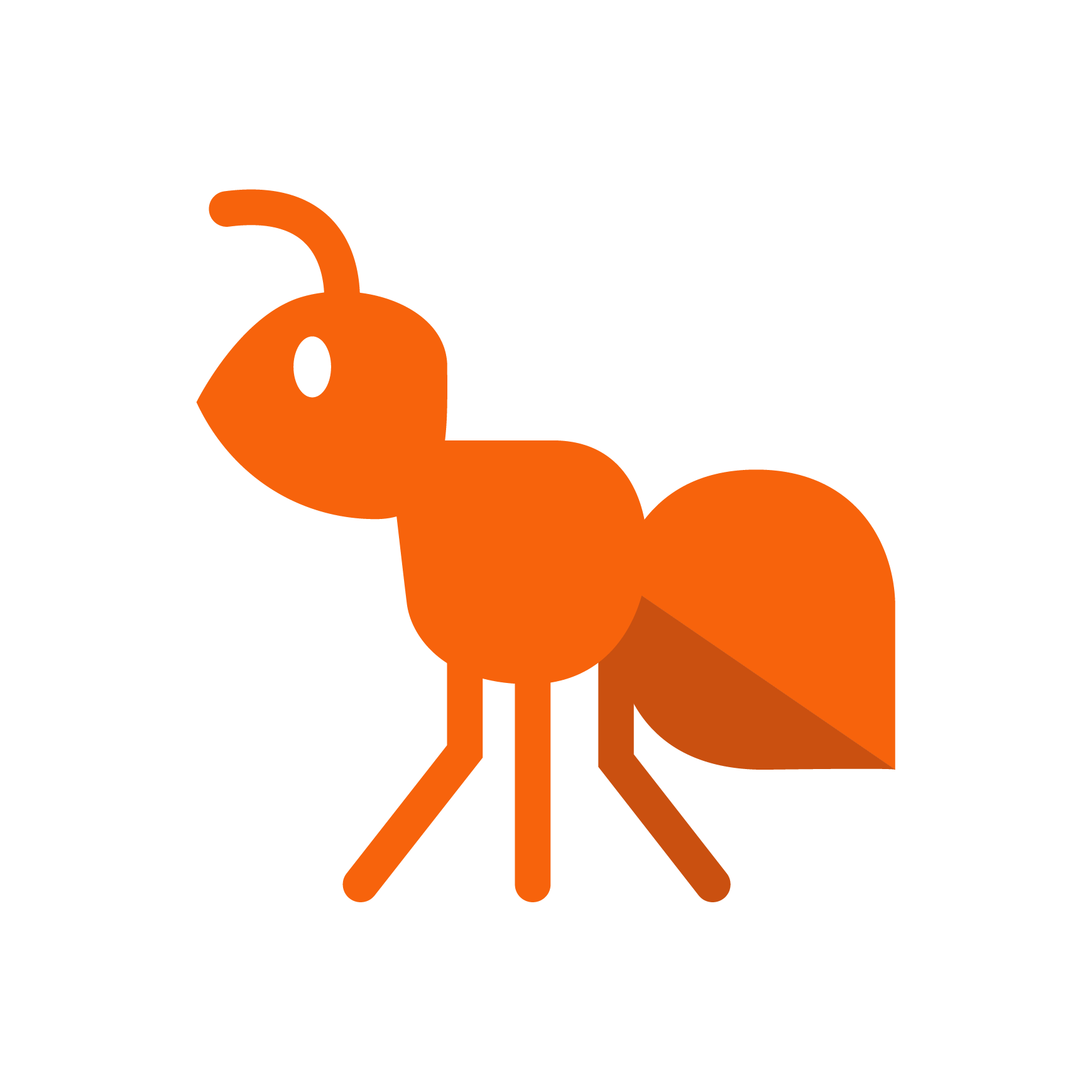 Ant