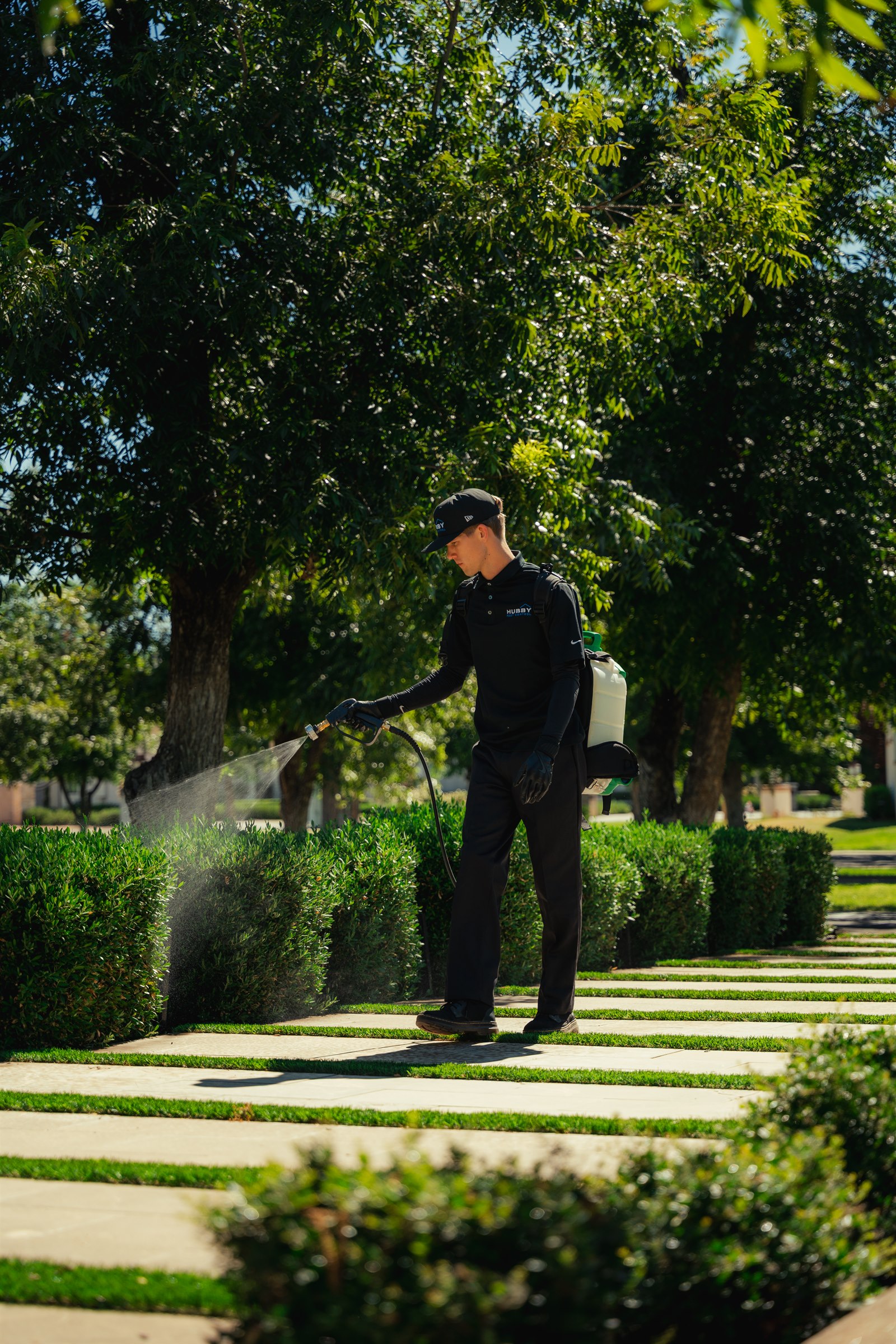 Hubby Pest Control technician treating landscaping in an East Valley neighborhood